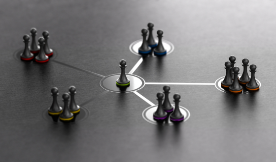 Team Organisation Tool