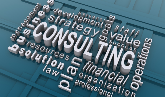 consultant schedule management