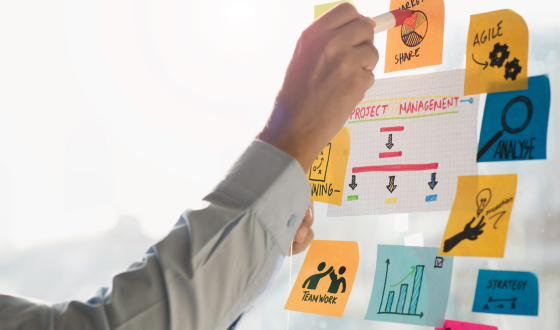team management software