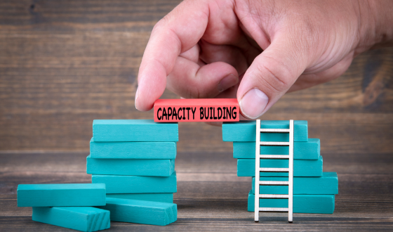 Capacity planning for complex projects